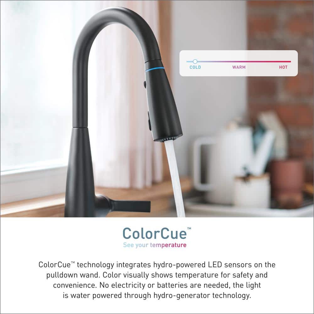 Matte Black Pull-Down Kitchen Faucet with Pull-out Spray