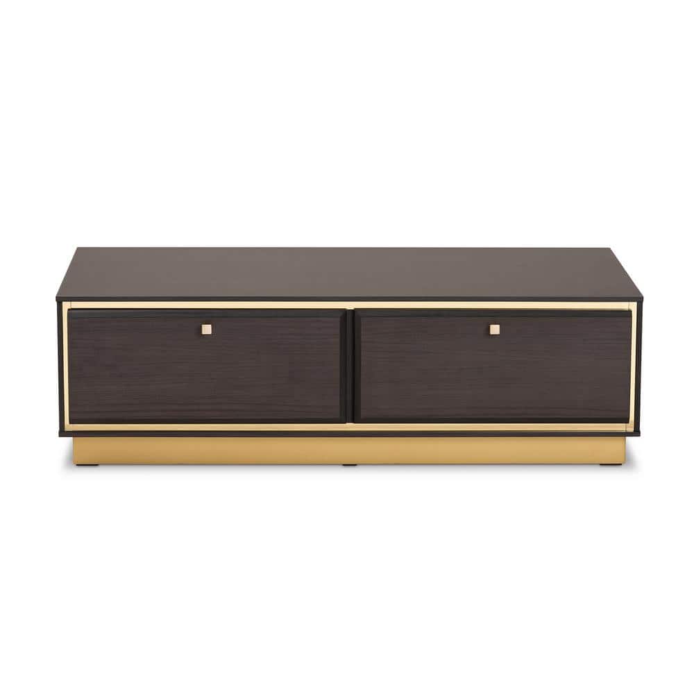 Modern Glamour Dark Brown Wood and Gold Metal Storage Coffee Table