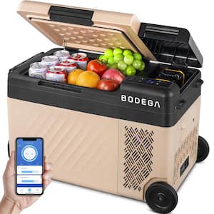 0.78 cu. ft. Outdoor Refrigerator Portable MIni Freezer -4°F - 68°F with App Control Car Fridge