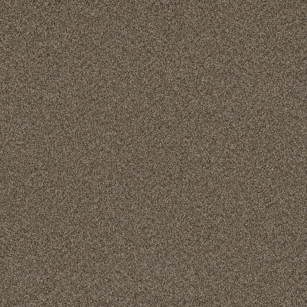 Harpstring II-Hollow Brown 75 oz. SD Polyester Texture Carpet - Installation Required