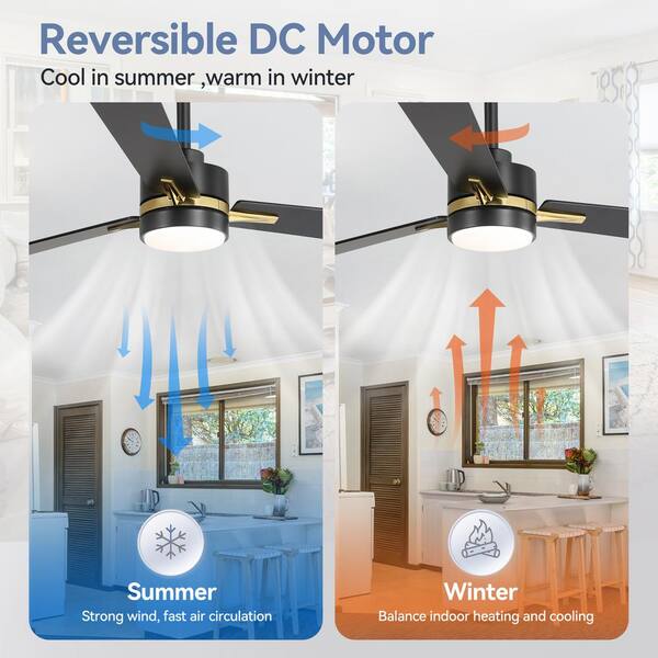 Breezary Maria 52 in. Indoor Black/Gold Ceiling Fan with