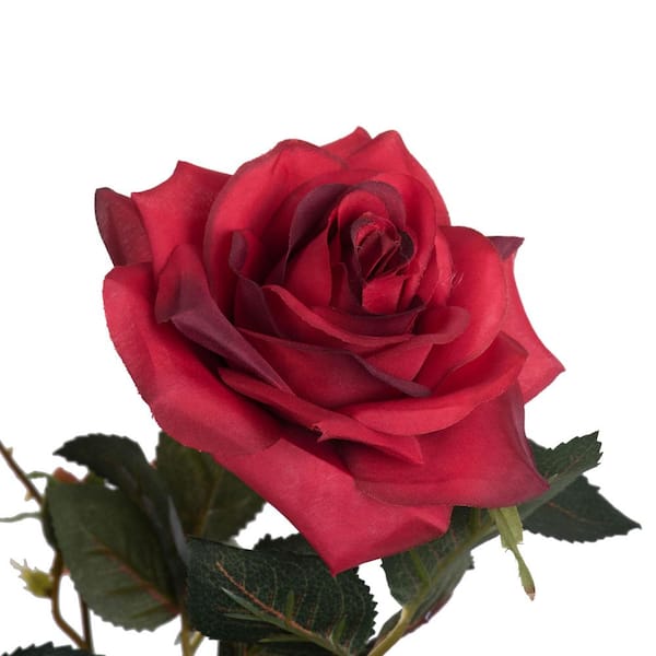 ☆RedRose☆ Long Stem Red Rose Bouquet