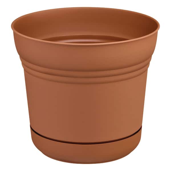 Vigoro 12 in. Anne Terra Cotta Plastic Planter (12 in. x 11 in.) with Drainage Hole and Attached Saucer