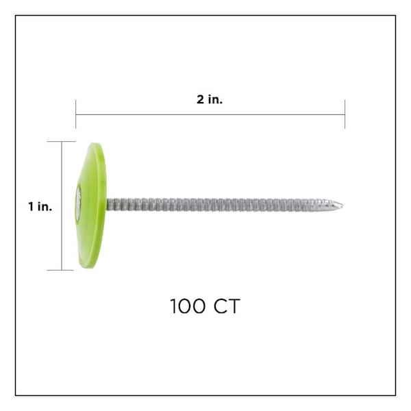 2 in. Electro Galvanized Ring Shank Nail with Plastic Cap (100-Count)