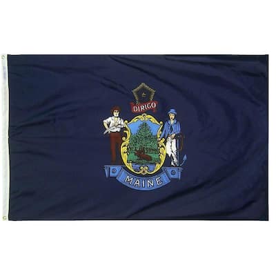 Annin Flagmakers 5 ft. x 8 ft. Nylon Georgia State Flag-141164 - The ...