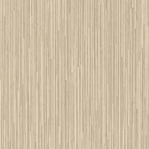 4 ft. x 8 ft. Laminate Sheet in Light Oak Ply with Premium Gloss Line Finish