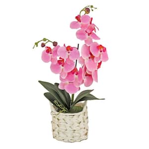 21 in Artificial Floral Arrangements Orchid in White Basket- Color: Pink