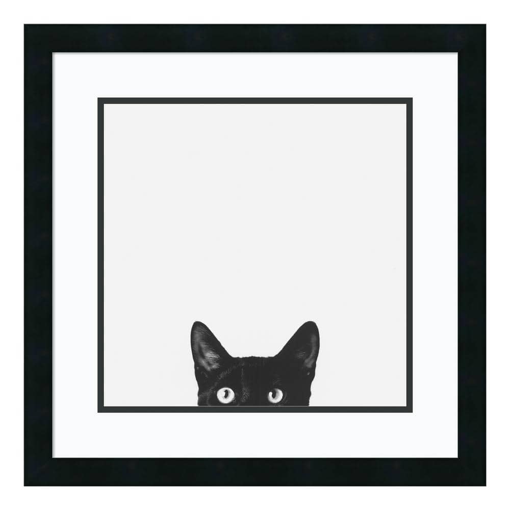 Curiosity Black Cat Framed Art Print in Black Wood