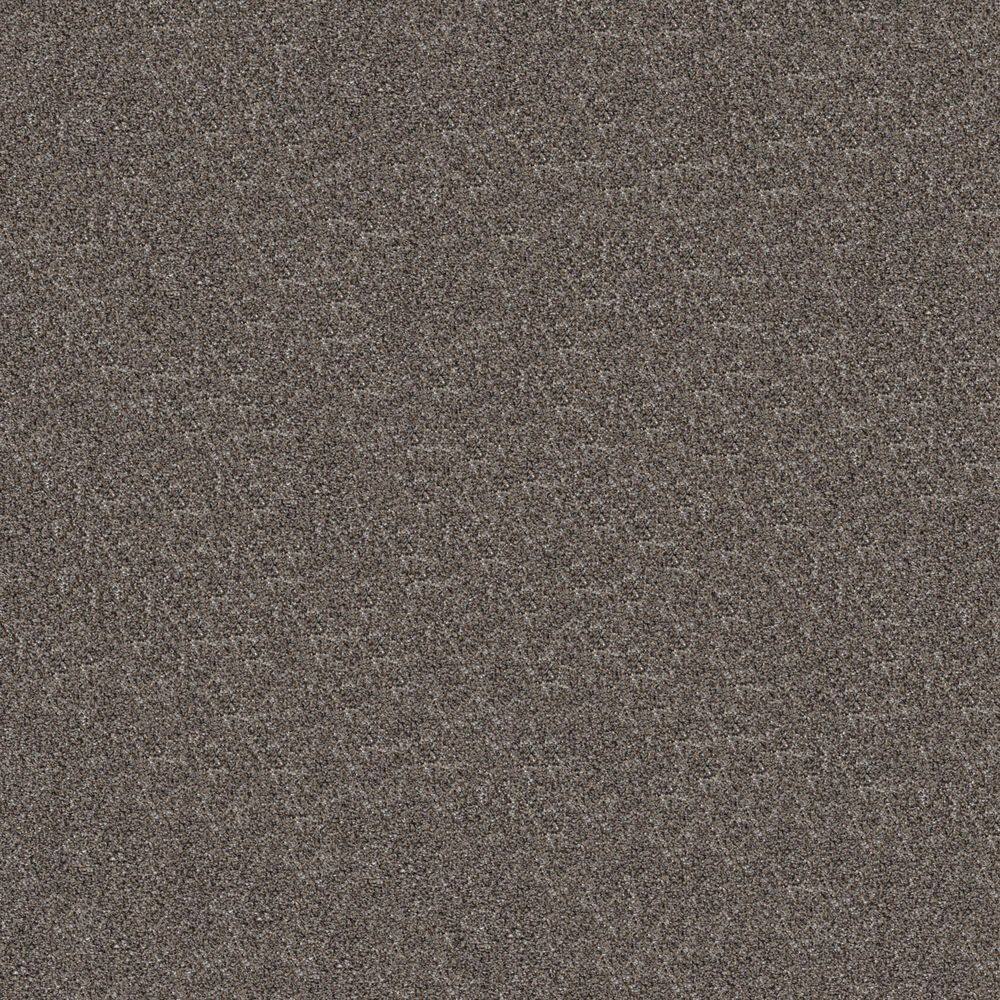8 in. x 8 in. Texture Carpet Sample - Cuddle Cakes III - Color Vulcan price history on PriceWatchPro