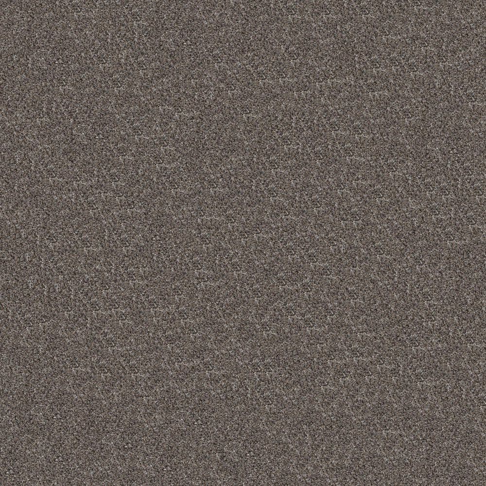 8 in. x 8 in. Texture Carpet Sample - Cuddle Cakes I - Color Vulcan price history on PriceWatchPro