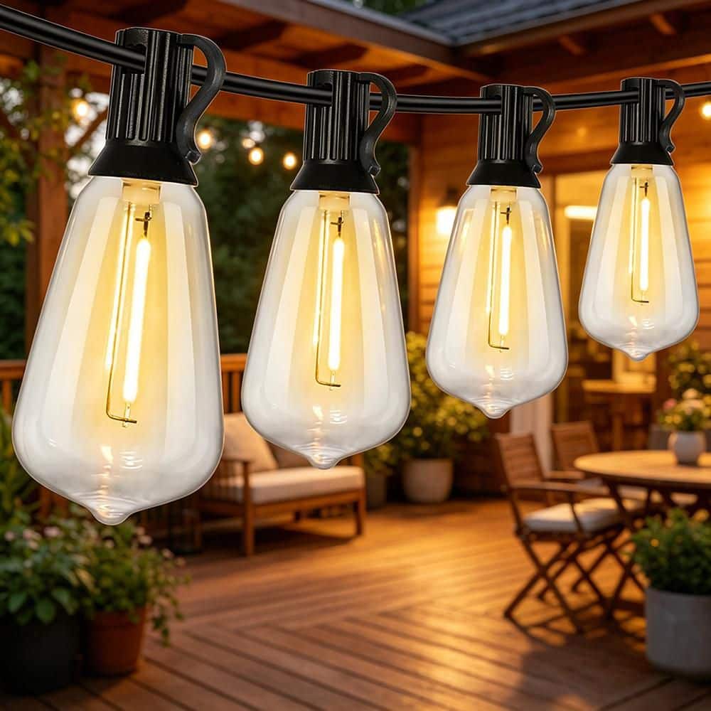 16 Light 30 ft. Black Outdoor Hardwired Edison ST38 LED Patio String ...