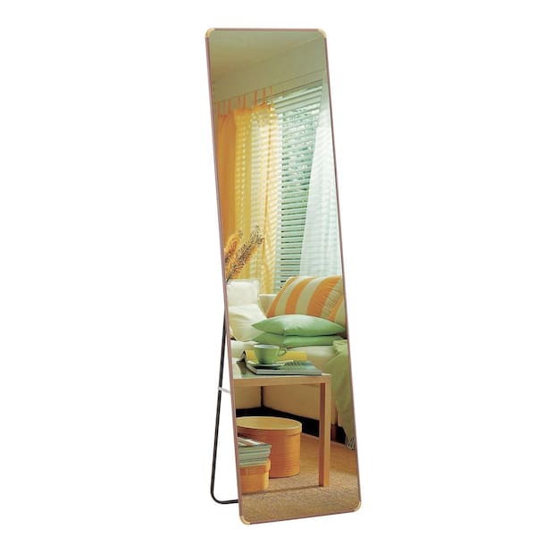 Unbranded 16.5 in. W x 60 in. H Rectangle Beige Framed Floor Standing Mirror, Wall Mounted Mirror for Bathroom, Bedroom