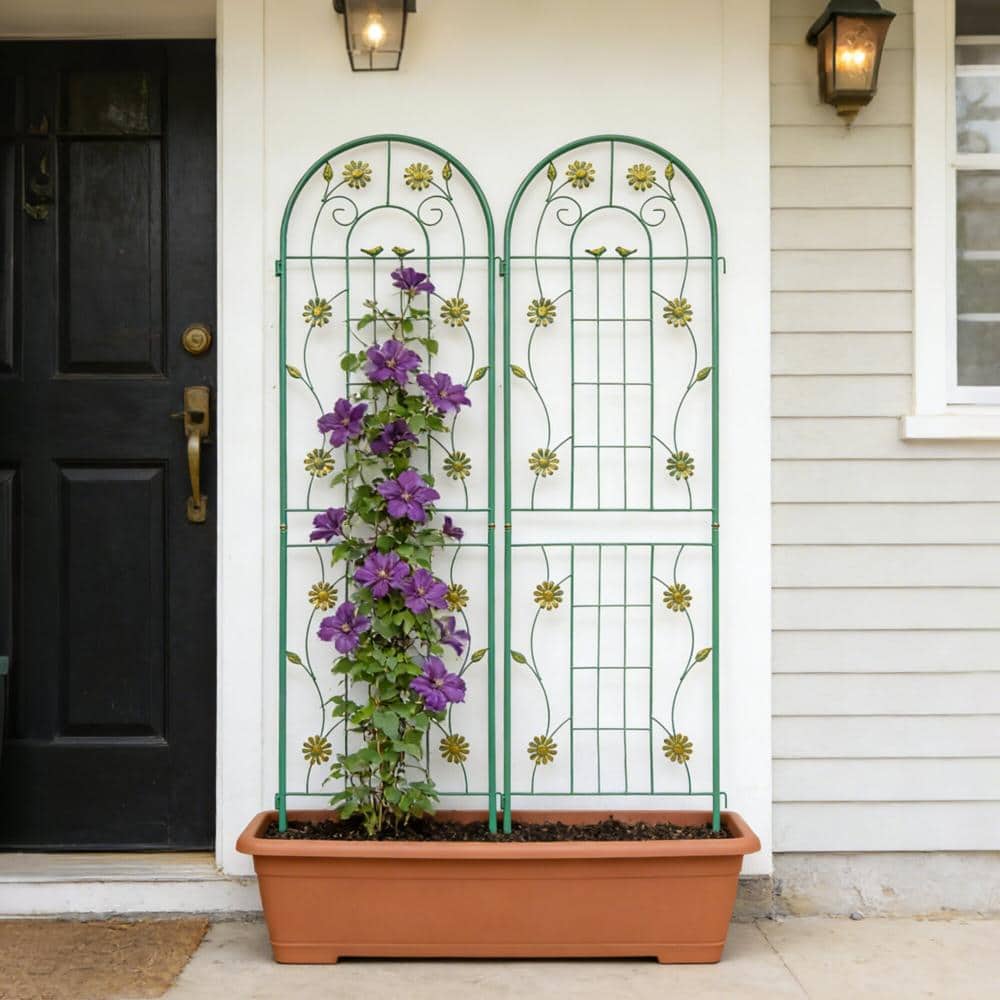 71x19.7 in Green Outdoor Metal Rustproof Garden Trellis for Climbing Plants 2-Pack price history on PriceWatchPro
