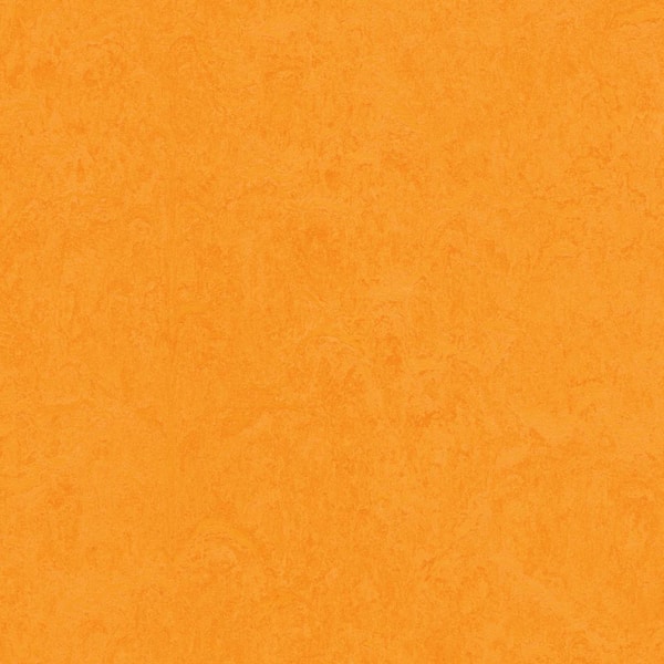 Marmoleum Cinch Loc Seal Marigold 9.8 mm T x 11.81 in. W x 11.81 in. L Waterproof Laminate Flooring (6.78 sq. ft. /Case)