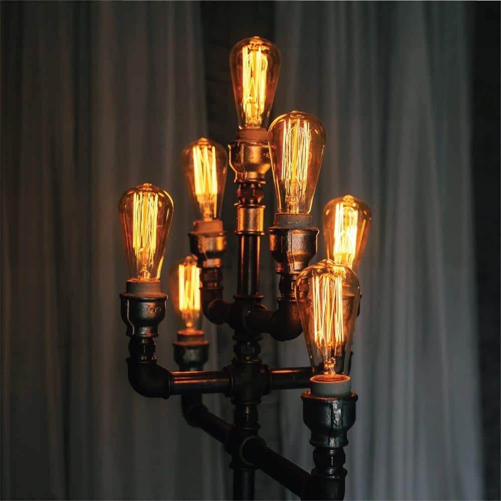 60-Watt Equivalent ST64 Vintage Style Edison Bulbs, Incandescent Dimmable E26 Filament Bulb, 2700K (6-Pack)