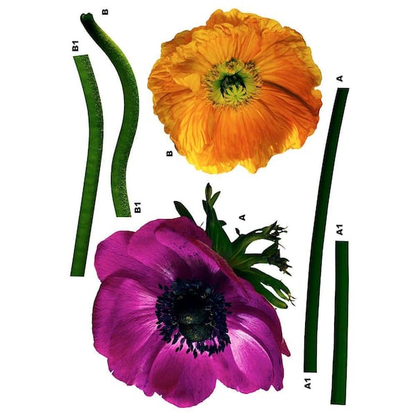 Freestyle 19 in. x 27 in. Anemone daisy Wall Decal