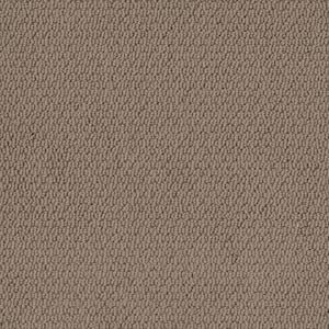 Hickory Lane - Fox Run - Brown 32.7 oz. SD Polyester Loop Installed Carpet