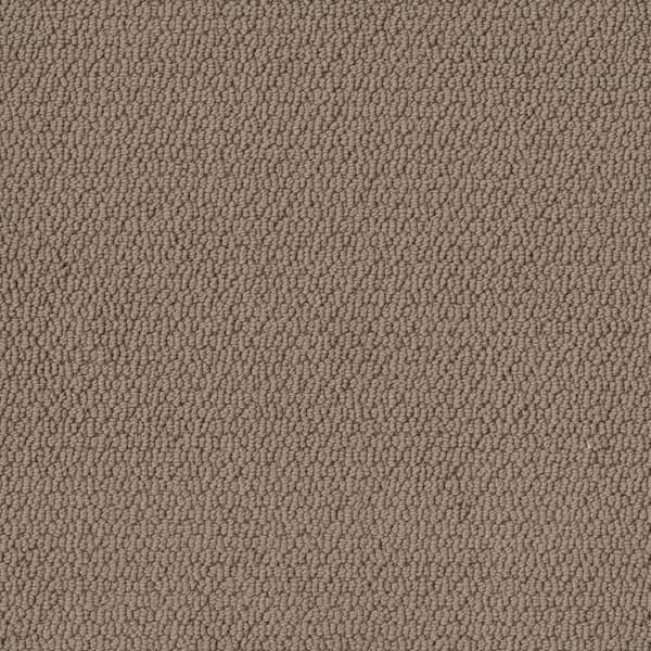 Home Decorators Collection Hickory Lane - Fox Run - Brown 32.7 oz. SD Polyester Loop Installed Carpet