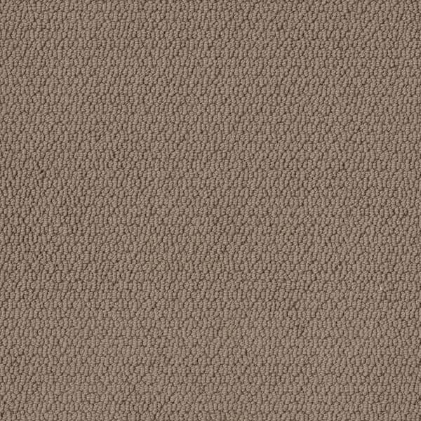 Home Decorators Collection Hickory Lane - Fox Run - Brown 32.7 oz. SD Polyester Loop Installed Carpet