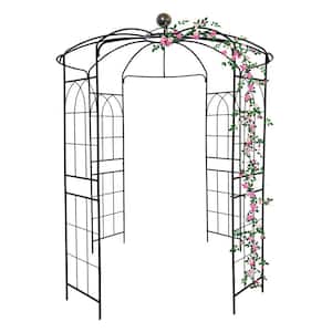 9.5 ft. Black Metal Garden Birdcage-Shaped Arch for Wedding Ceremony, Climbing Plant Support for Outdoor Gazebo Trellis