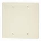 Almond 2-Gang Blank Plate Wall Plate (1-Pack)
