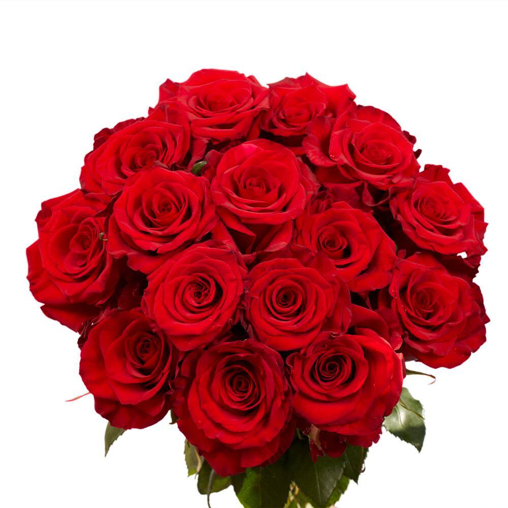 Globalrose Fresh Dark Red Color Roses 100 Stems Red Paris 100 The Home Depot