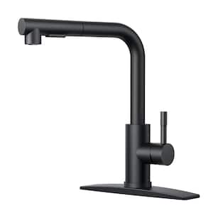 Single-Handle Kitchen Sink Faucet with Pull Down Sprayer Kitchen Faucet in Black