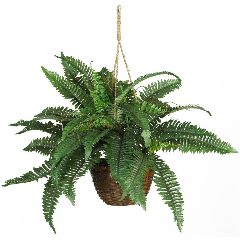 18 in. Artificial Boston Fern Plant Hanging Basket price history on PriceWatchPro