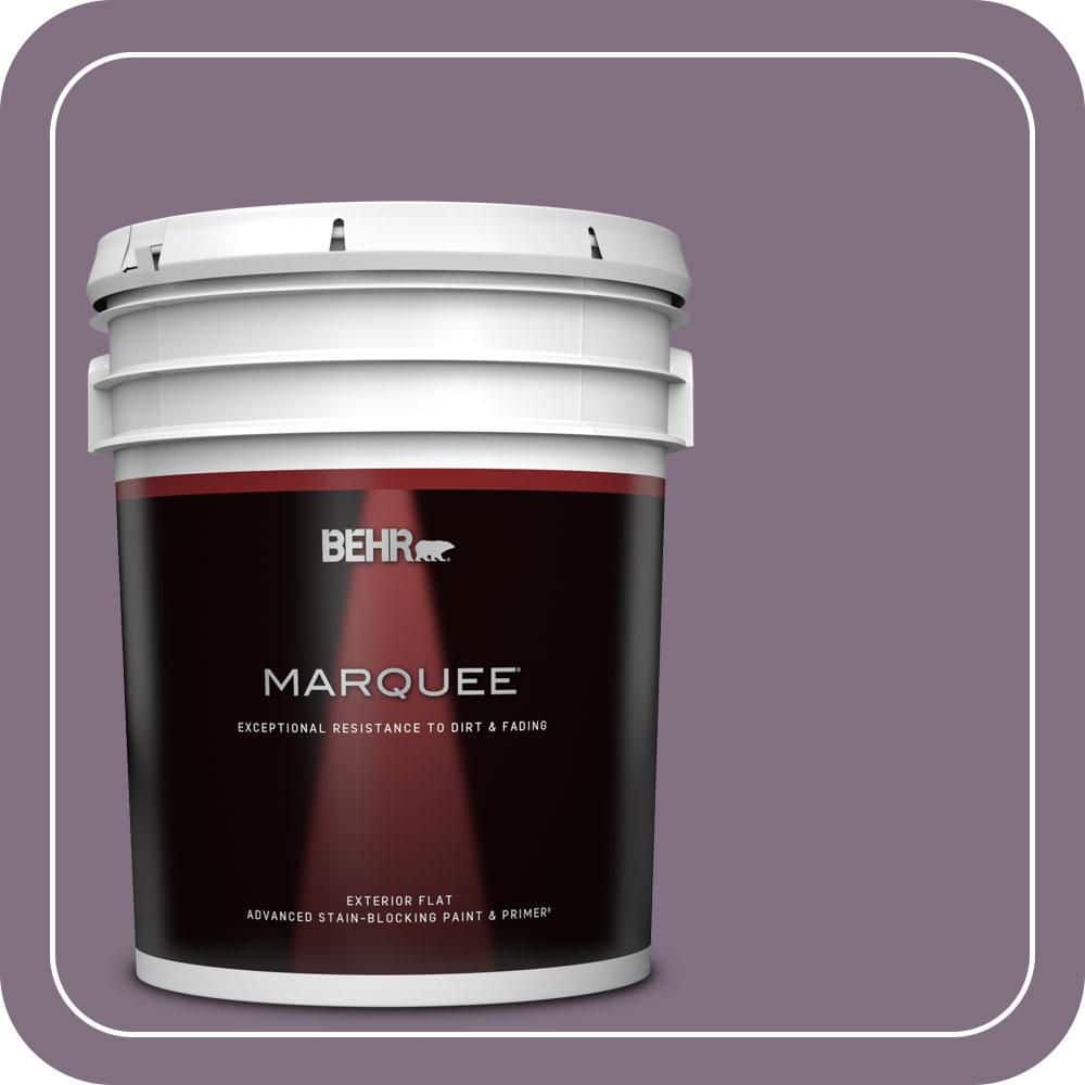 5 gal. Home Decorators Collection #HDC-SP14-9 Decorative Iris Flat Exterior Paint & Primer product image for price tracking