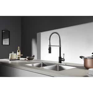 Paris Single-Handle Pull-Down Sprayer Kitchen Faucet in Matte Black/Brushed Nickel