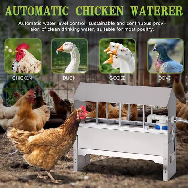 Automatic Chicken Waterer - 304 Stainless Steel Self-Filling Poultry Water Dispenser