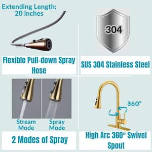 Single-Handle Pull Down Sprayer Kitchen Faucet with 2 Modes Spray, Pull Out Spray Wand in Brushed Gold