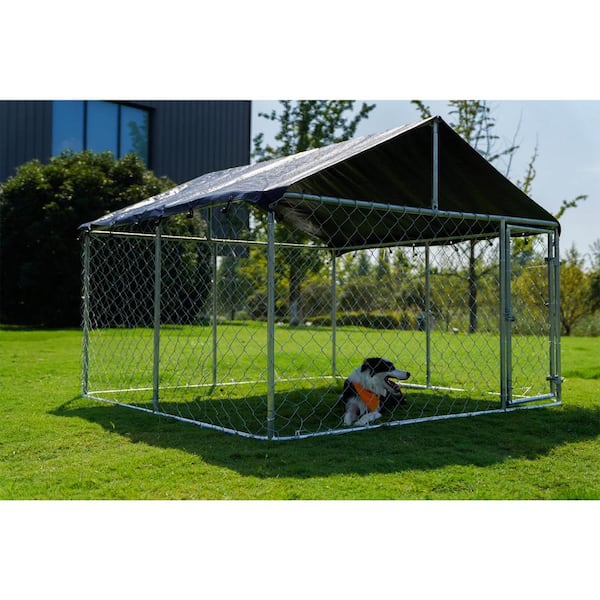 Home shops depot dog kennels for