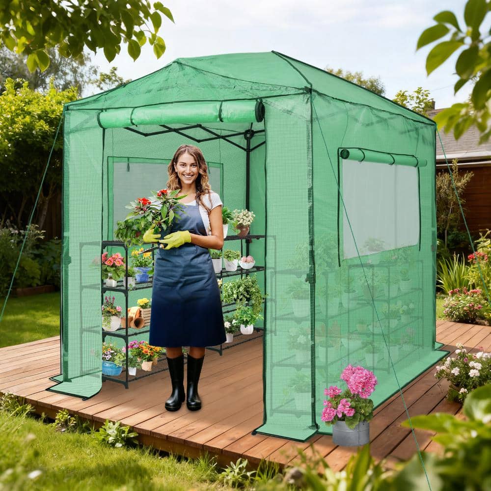 【新品5台セット】電子pop GREEN HOUSE GH-EP7-WH EAGLE PEAK 6 ft. W x 8 ft. D Pop-Up Greenhouse GH48-GRN-HD - The