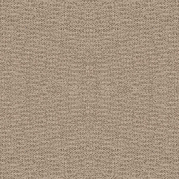 Lifeproof 8 in. x 8 in. Pattern Carpet Sample - Summerville -Color Harvest Straw