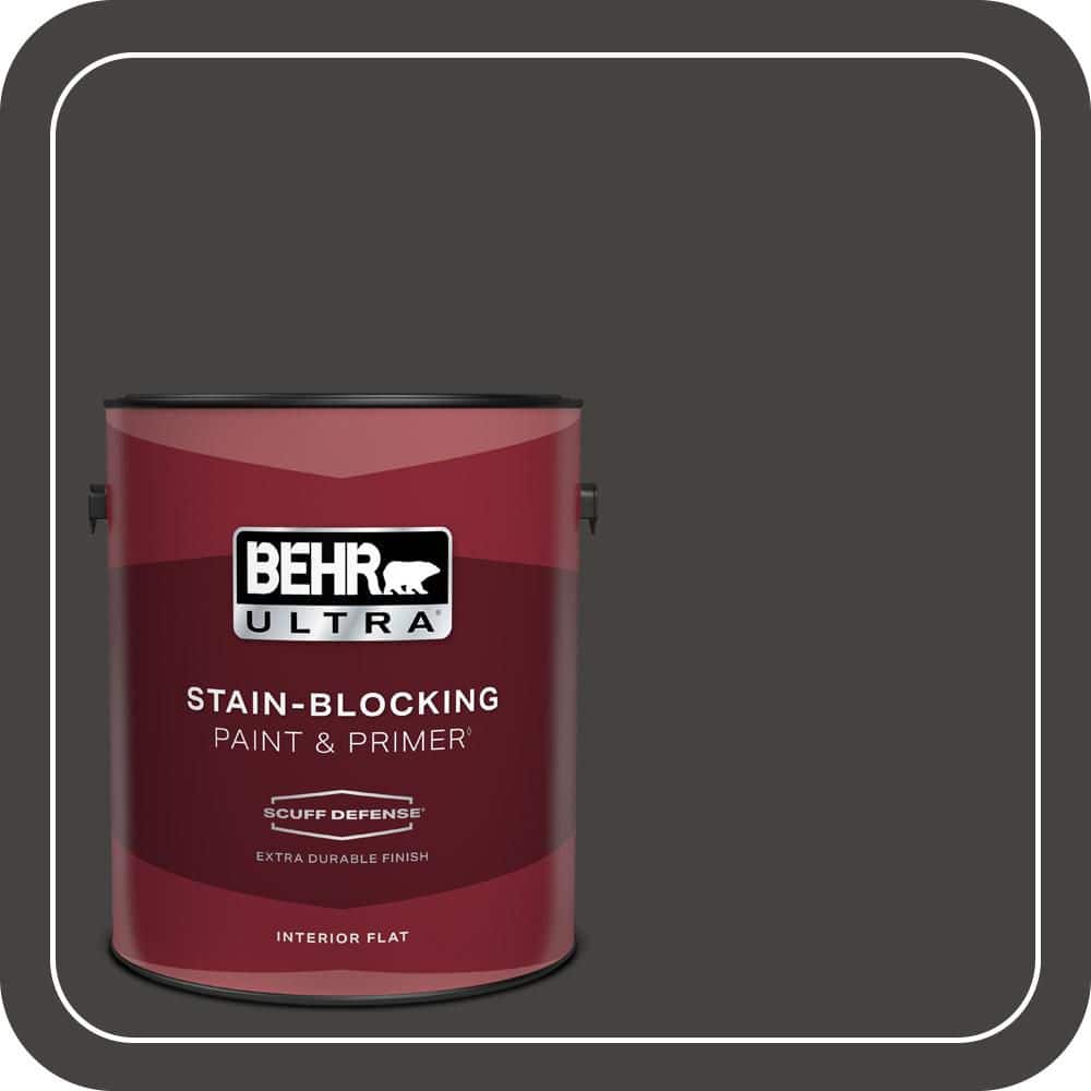 1 gal. #ECC-27-3 Evening Canyon Extra Durable Flat Interior Paint & Primer price history on PriceWatchPro
