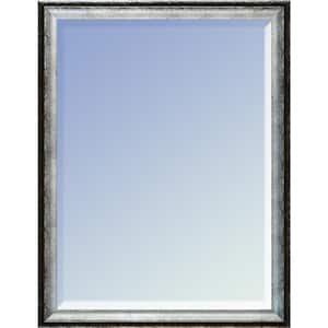 24 in. W x 20 in. H Wood Athenian Silver Framed Decorative Mirror
