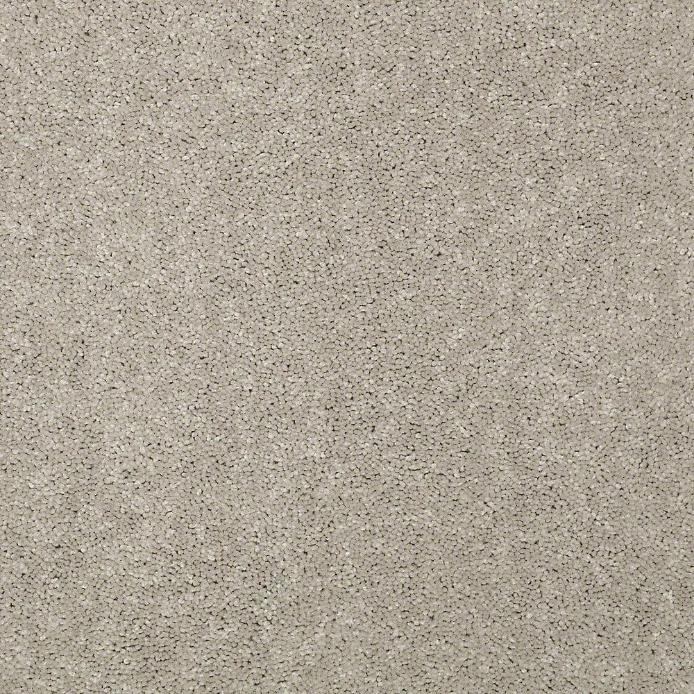 8 in. x 8 in. Texture Carpet Sample - Watercolors I - Color Concrete price history on PriceWatchPro