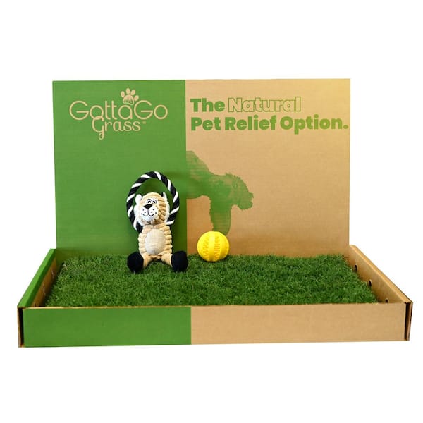 Unbranded Gotta Go Grass Bermuda Potty Pad Refill Plus Toy Ball Plus Squeaky Toy (2-Pack )