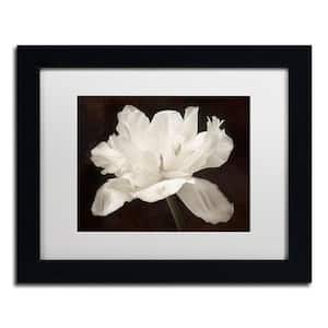 White Tulip I by Cora Niele Nature Wall Art 18 in. x 22 in.