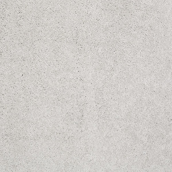 Lifeproof Coral Reef II - Fossil Dust - Beige 93.6 oz. Nylon Texture Installed Carpet