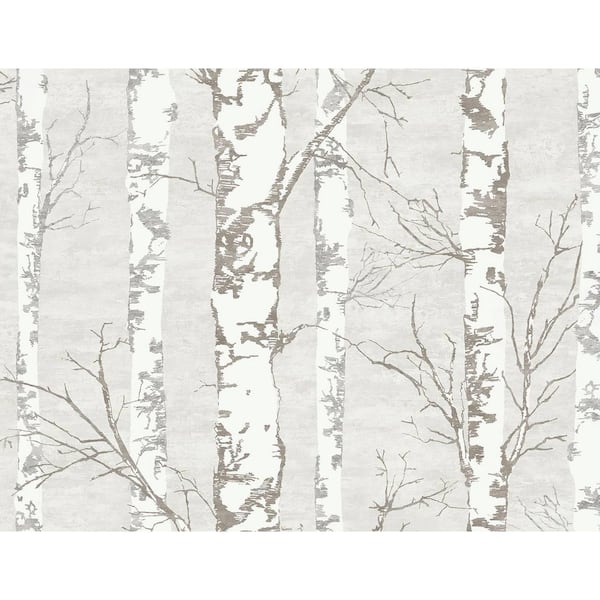 60.75 sq. ft. Mushroom Grey Alaska Birch Unpasted Wallpaper Roll