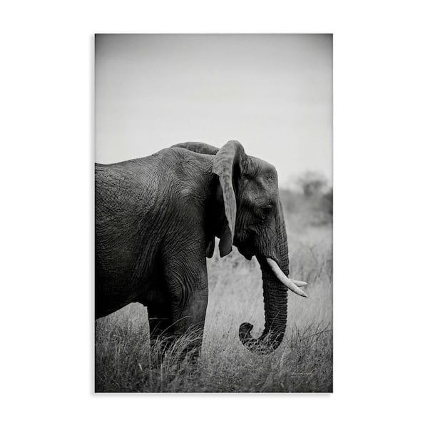 Stupell Industries Side Profile Elephant by Sharon Vardy Unframed Animal Graphic Art Print 24 in. x 16 in.