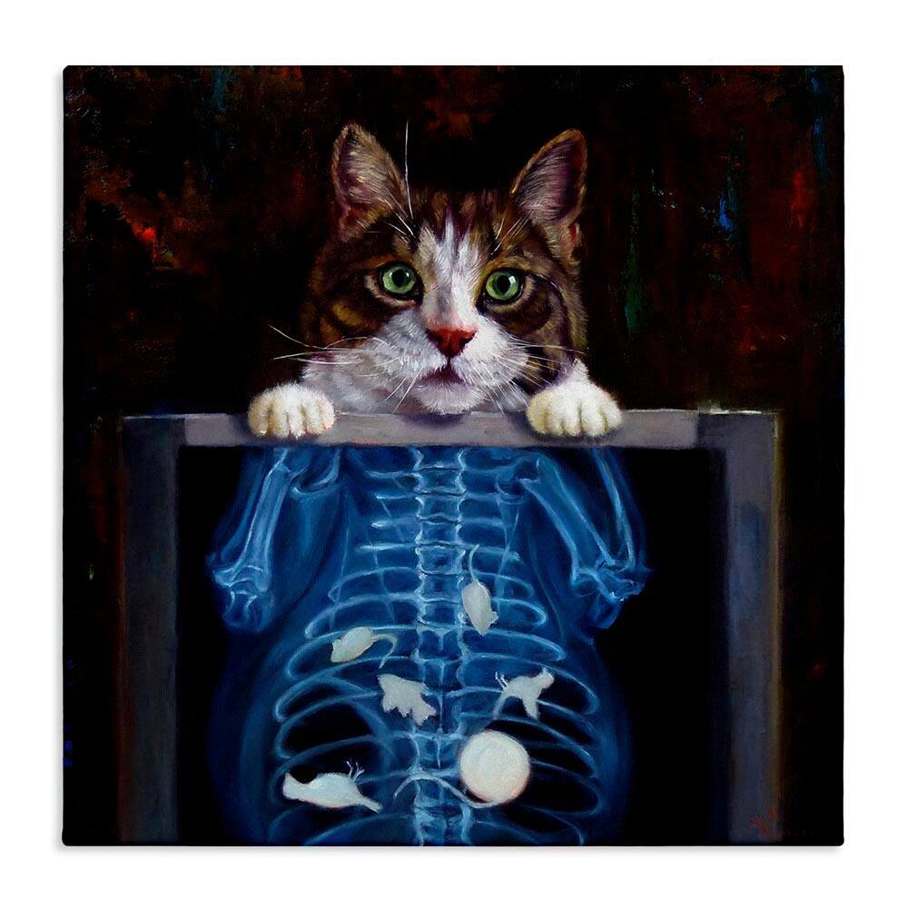 Funny Cat X-Ray Mice by Lucia Heffernan Unframed Graphic Art Print Animal 30 in. x 30 in. price history on PriceWatchPro