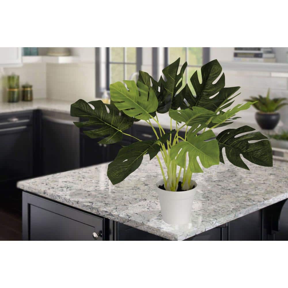 19" Indoor Silk Monstera in White Plastic Pot