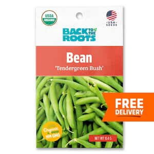 Organic Tendergreen Bean Seed (1-Pack)