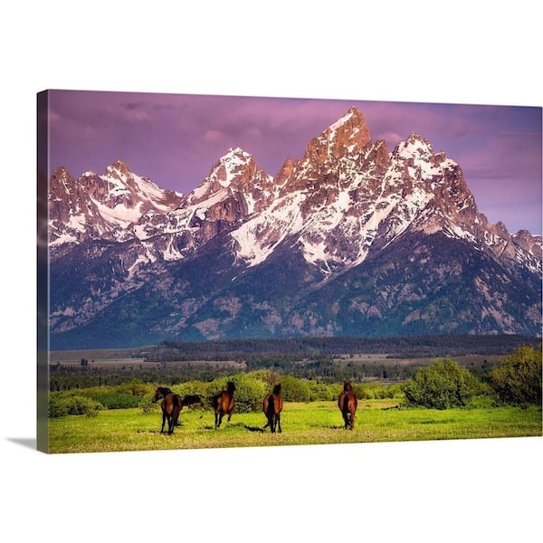 "Wild Horses running, Grand Teton National Park, Wyoming" by Joseph Roybal Canvas Wall Art