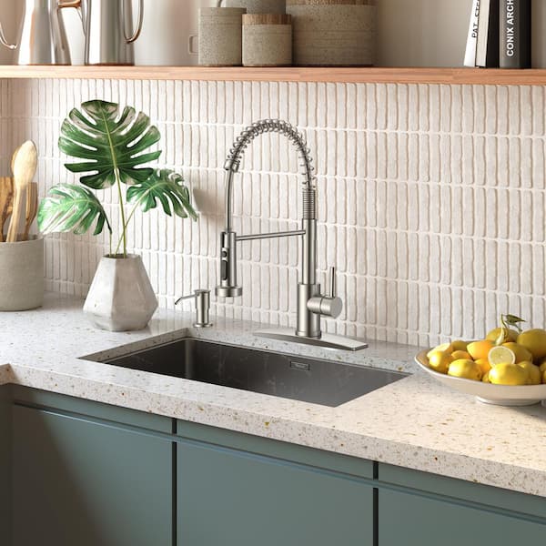 FORIOUS PRO Single-Handle Kitchen Faucet with Pull Down Sprayer