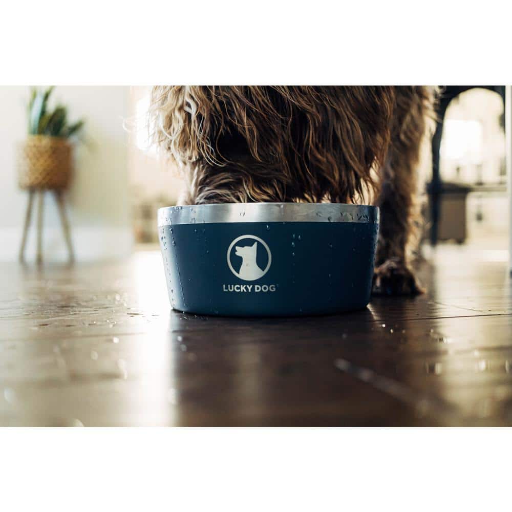 Blue Stainless Steel Non-Slip Dog Bowl, 64 Ounce