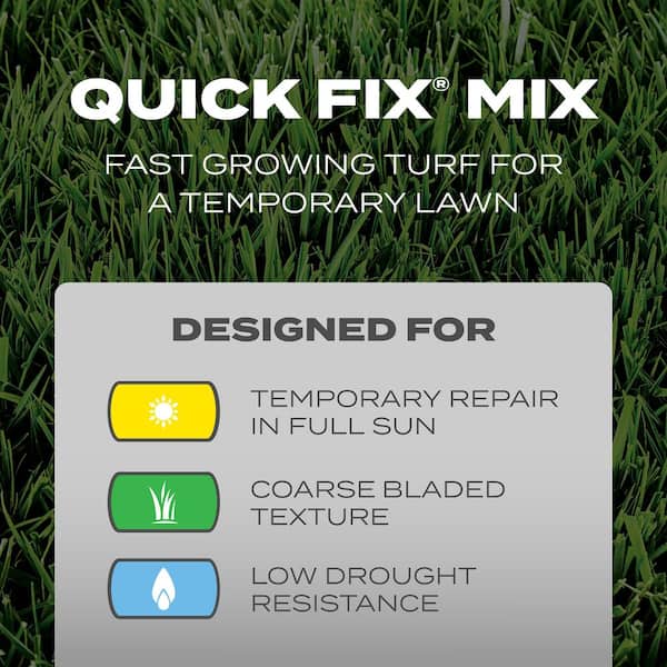 Turf Builder Grass Seed 3 lbs. Quick Fix Mix, Fast Growing Turf for a Temporary Lawn